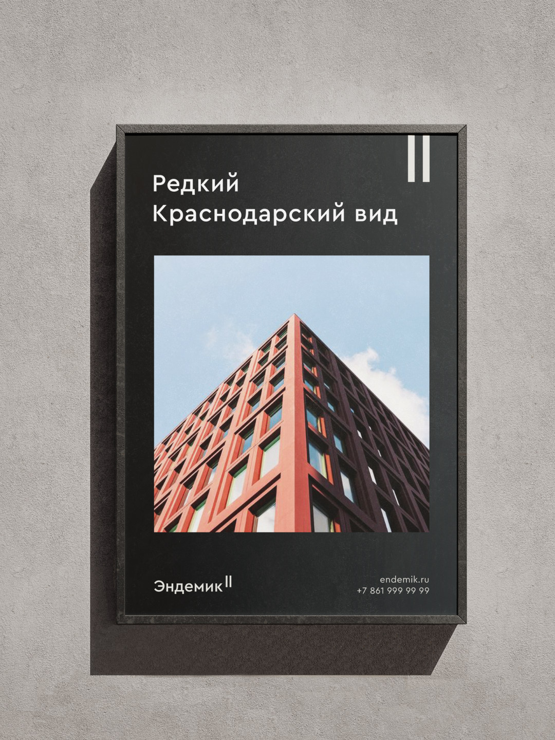 Кейс «Эндемик», карточка 6 из 14